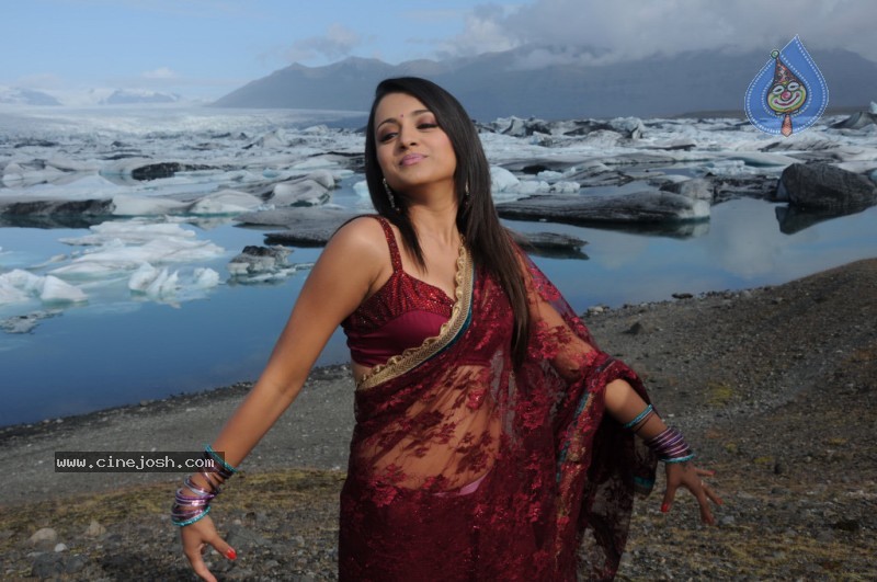 Trisha Latest Stills In Namo Venkatesa - 63 / 64 photos