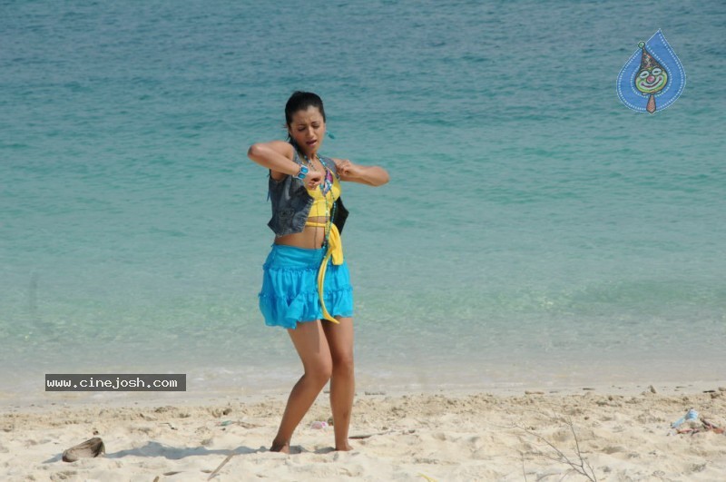 Trisha New Gallery - 5 / 175 photos