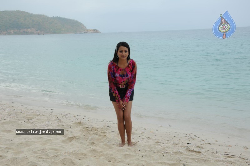Trisha New Gallery - 41 / 175 photos
