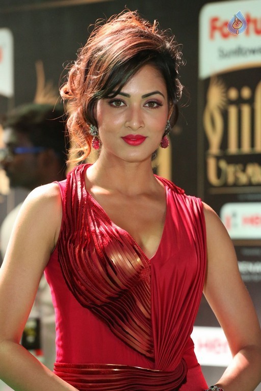 Videesha at IIFA 2017 - 2 / 41 photos