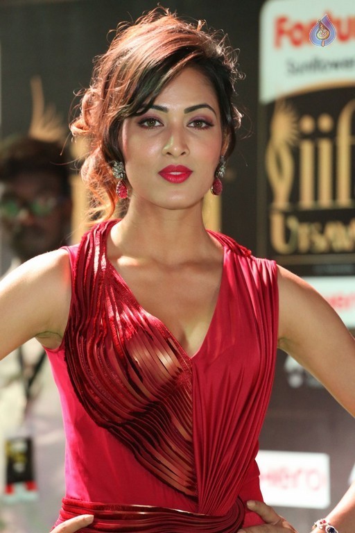 Videesha at IIFA 2017 - 13 / 41 photos