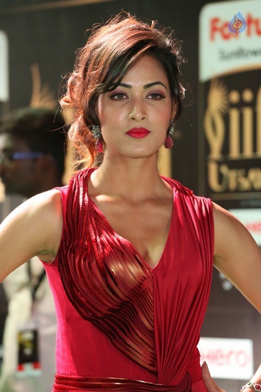 Videesha at IIFA 2017 - 36 / 41 photos