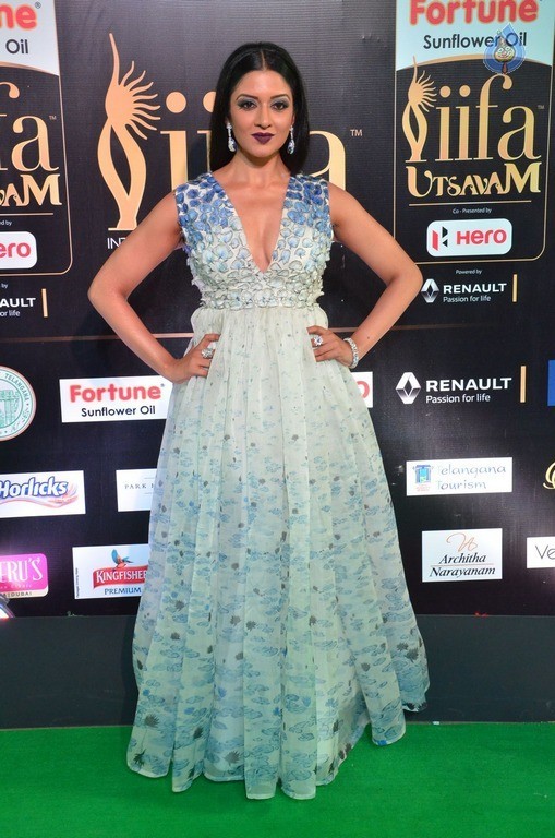 Vimala Raman at IIFA 2017 - 15 / 42 photos