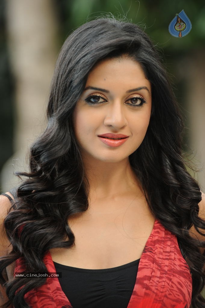 Vimala Raman High Resolution Photos - 57 / 70 photos