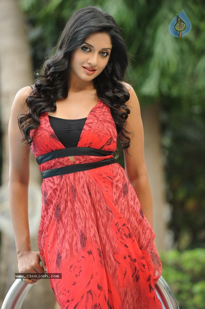 Vimala Raman High Resolution Photos - 63 / 70 photos