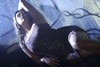 Namitha Hot Gallery - 183 of 218