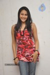 Panchi Bora at Aakasame Haddu Movie PM - 50 of 97