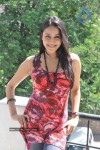 Panchi Bora at Aakasame Haddu Movie PM - 55 of 97