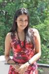 Panchi Bora at Aakasame Haddu Movie PM - 57 of 97