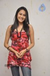 Panchi Bora at Aakasame Haddu Movie PM - 79 of 97