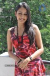 Panchi Bora at Aakasame Haddu Movie PM - 81 of 97