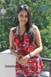 Panchi Bora at Aakasame Haddu Movie PM - 85 of 97