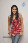 Panchi Bora at Aakasame Haddu Movie PM - 88 of 97