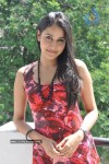 Panchi Bora at Aakasame Haddu Movie PM - 92 of 97