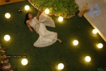 Aarthi Agarwal New Gallery - 57 of 97