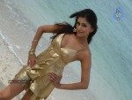 Aarti Chhabria Photos - 7 of 24