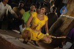 Aarti Puri Spicy Stills - 4 of 215