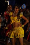 Aarti Puri Spicy Stills - 12 of 215