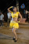 Aarti Puri Spicy Stills - 13 of 215