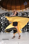 Aashika Hot Stills - 5 of 93