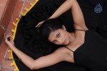 Aashika Hot Stills - 31 of 93