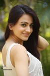 Actress Aksha Stills - 9 of 59