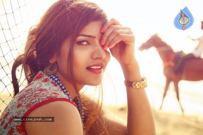 Actress Anju Kriti Photoshoot - 11 of 12