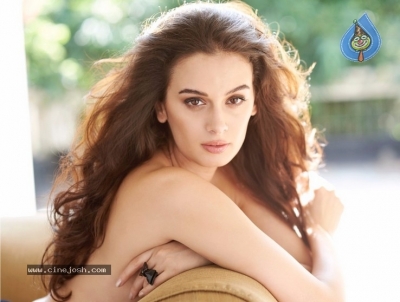 Actress Evelyn Sharma Stills - 9 of 16