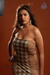 Aditi Agarwal Hot Photo Shoot - 3 of 78