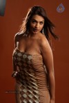 Aditi Agarwal Hot Photo Shoot - 14 of 78