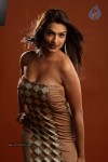 Aditi Agarwal Hot Photo Shoot - 65 of 78