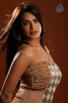 Aditi Agarwal Hot Photo Shoot - 68 of 78