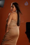 Aditi Agarwal Hot Photo Shoot - 78 of 78