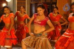 Agnesha Spicy Gallery - 12 of 59
