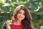 Akanksha Puri New Stills - 12 of 52