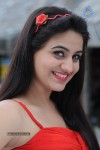 Aksha Hot Gallery - 6 of 66