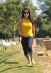 Aksha Latest Stills - 20 of 26