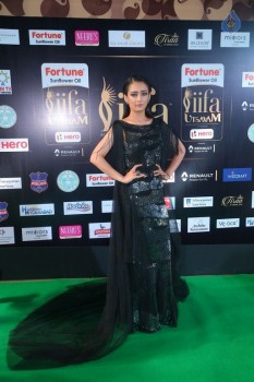 Akshara Hasan at IFA 2017 - 3 of 42