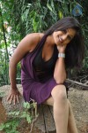 Akshaya New Photos - 53 of 83