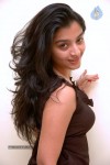 Alisha Hot Stills - 19 of 45