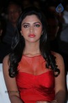 Amala Paul at Naayak Audio Launch - 14 of 49