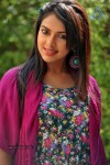 Amala Paul Hot Gallery - 19 of 52