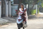 Amala Paul New Gallery - 2 of 58