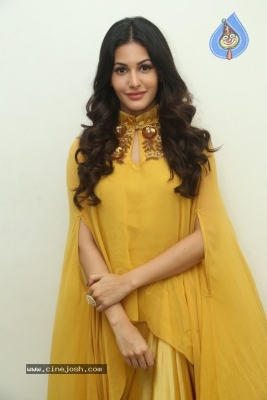 Amyra Dastur Latest Stills - 14 of 17