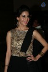 Amyra Dastur New Photos - 55 of 43