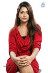 Anaika Soti Pics - 7 of 12