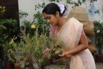 Ananya Stills - 50 of 62