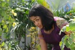 Ananya Stills - 54 of 62