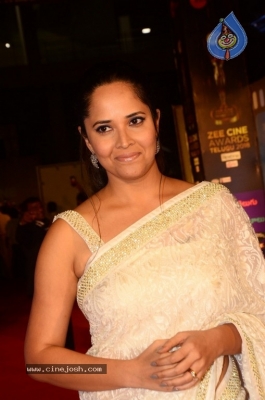 Anasuya at Zee Cine Awards 2018 - 16 of 17