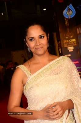 Anasuya at Zee Cine Awards 2018 - 16 of 17